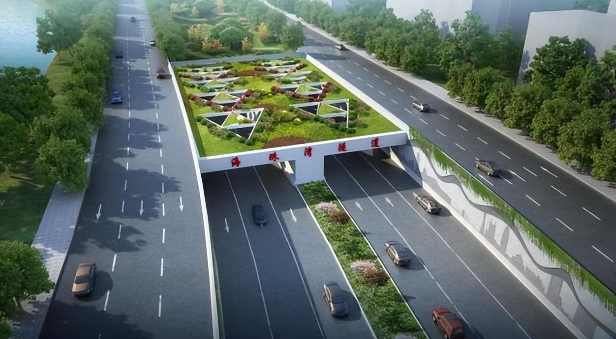 2024年广州又爆发病毒了吗？最新疫情动态解析