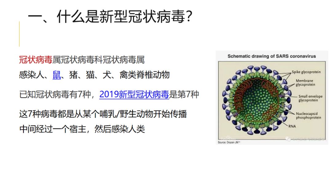 广东广州最新肺炎疫情，防控措施、现状分析与市民应对指南