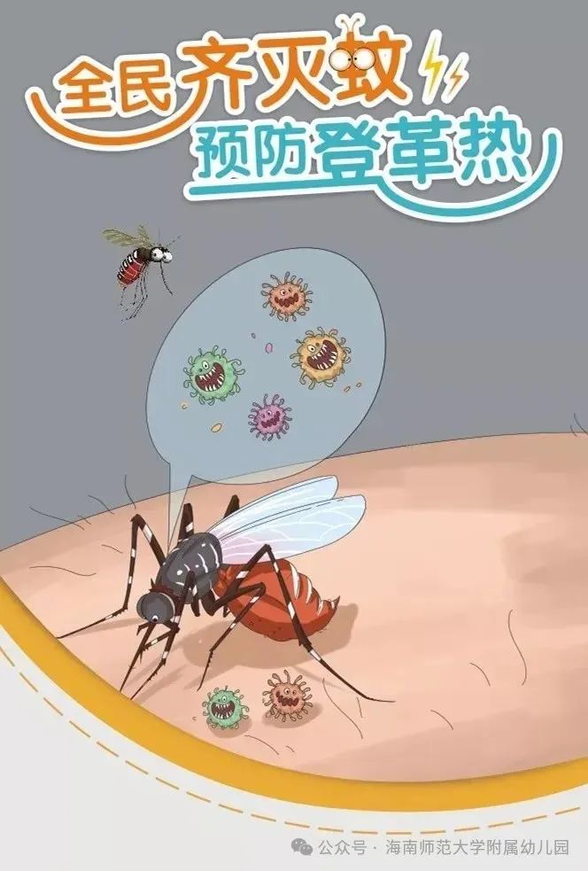 广州2024年12月登革热疫情，防控挑战与公众应对指南