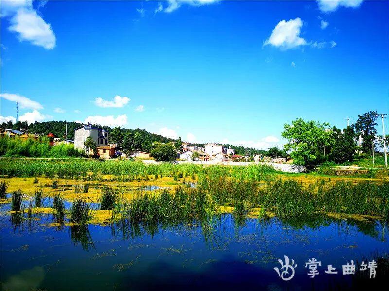 广西壮族自治区防控中心,筑牢公共卫生防线,守护壮乡人民健康 广西壮族自治区防控中心,筑牢公共卫生防线,守护壮乡人民健康
