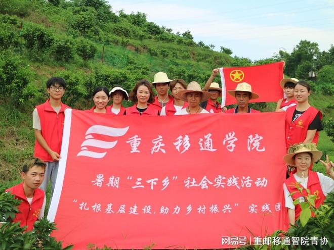 石家庄村委，乡村振兴的基层引擎与治理创新