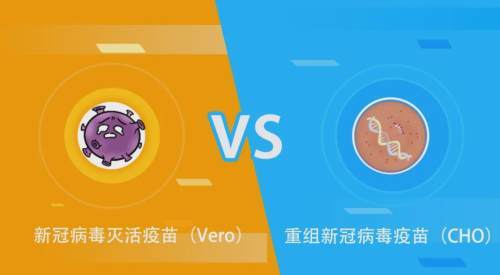 北京疫苗与兰州疫苗，它们是一样的吗？