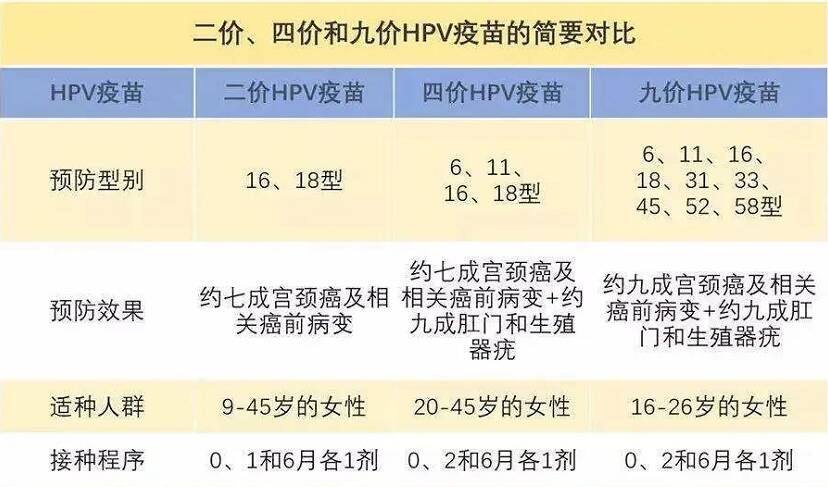 科普知识“长虹大厅有透视挂吗”(详细透视教程)-知乎