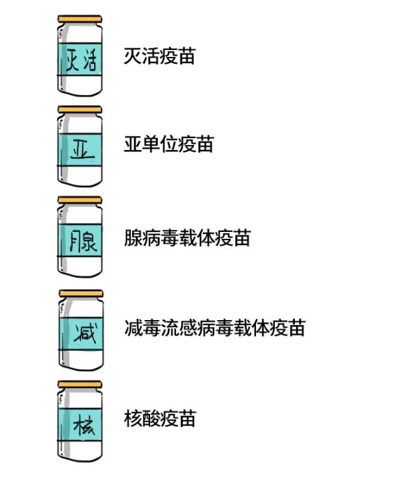 北京疫苗和四川疫苗一样吗？解析国内新冠疫苗的异同