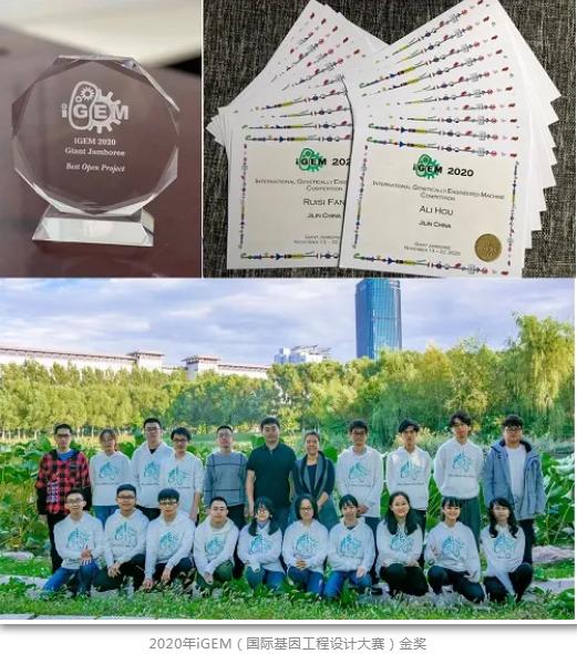 北京疫苗与吉林疫苗对比，安全性、有效性及适用人群全解析