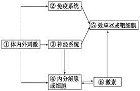 北京疫苗与重庆疫苗的区别，生产、接种与效果全面解析