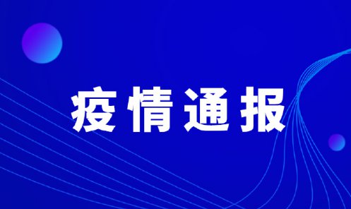 香港特区今日疫情，防控措施升级与市民生活的双重挑战