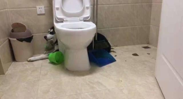 沈阳疫情患者死亡/沈阳确诊病例死亡