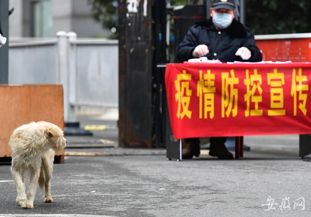 疫情合肥事件南京最新消息（南京疫情合肥受影响吗）