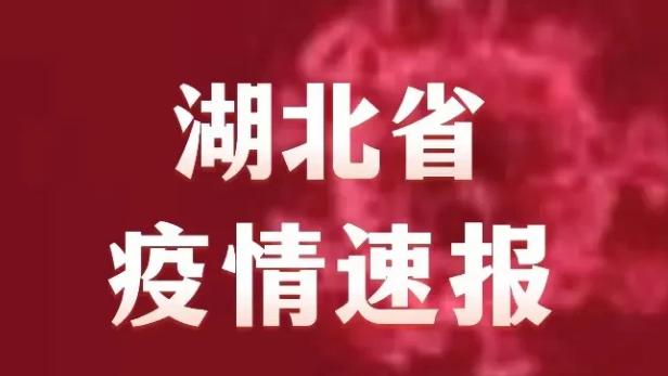 湖北省广疫情通报（湖北通报全省疫情最新进展情况）
