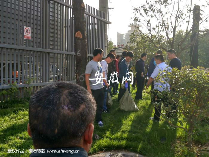 合肥今天死了多少人:合肥每天死亡人数