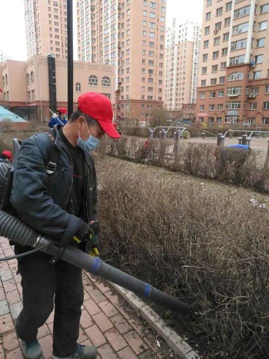 哈尔滨疫情规模（哈尔滨疫情数量）