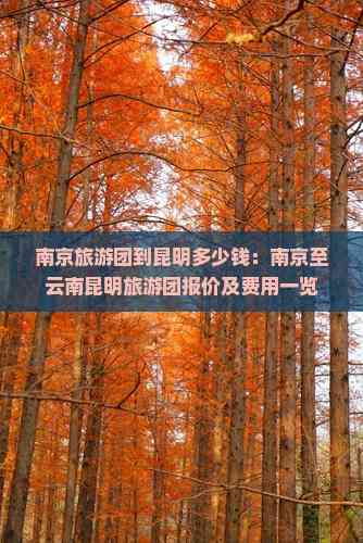 【南京到昆明防疫,南京到昆明要几个小时】