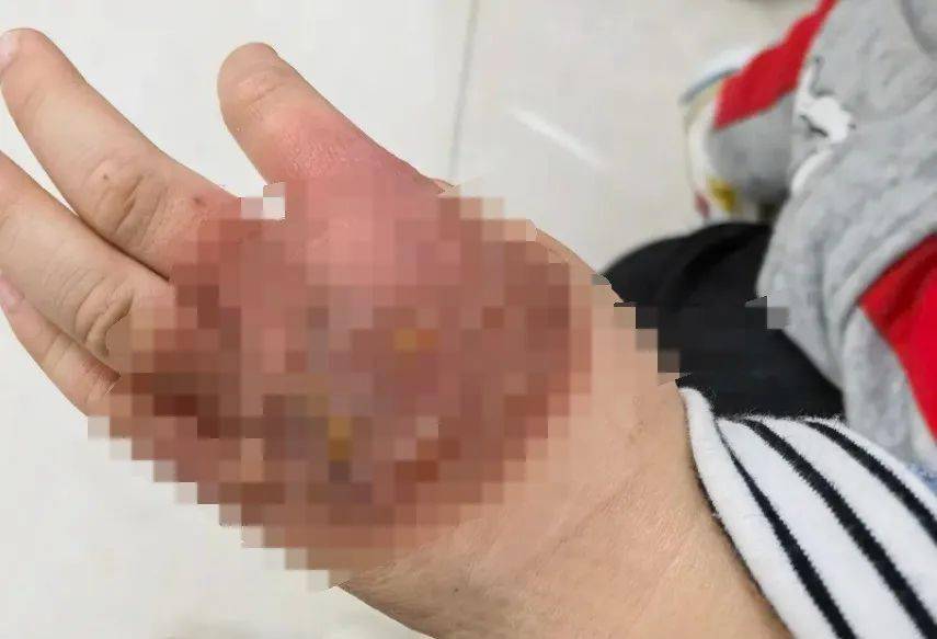 辅助神器“宝宝吃吃吃浙江游戏有挂吗？!专业师傅带你一起了解(确实有挂)