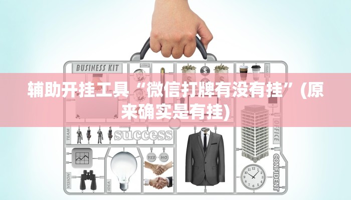 辅助开挂工具“九酷众娱开挂”其实确实有挂