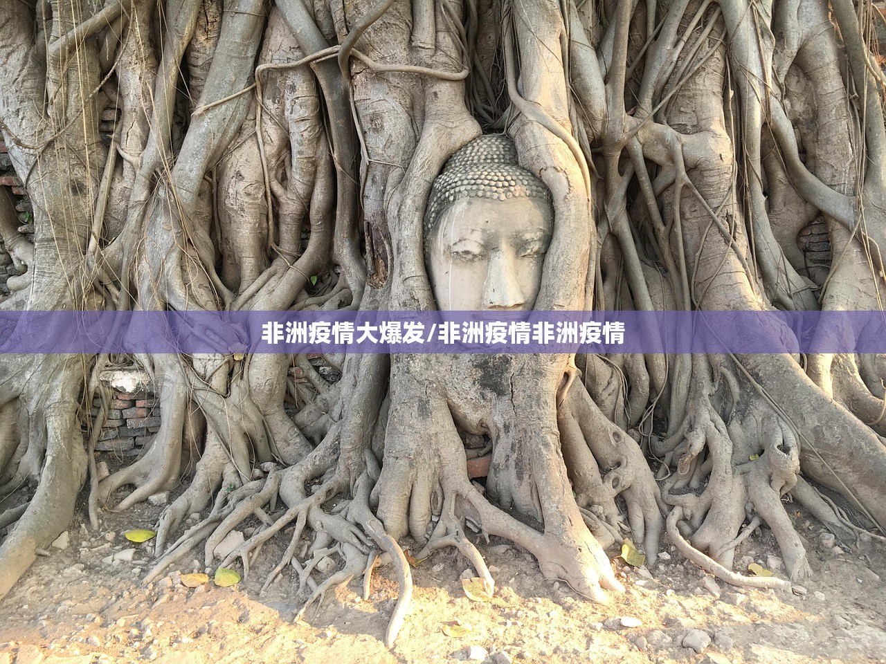 疫情什么时候开始什么时候结束的（疫情什么时候开始的至今几年了）
