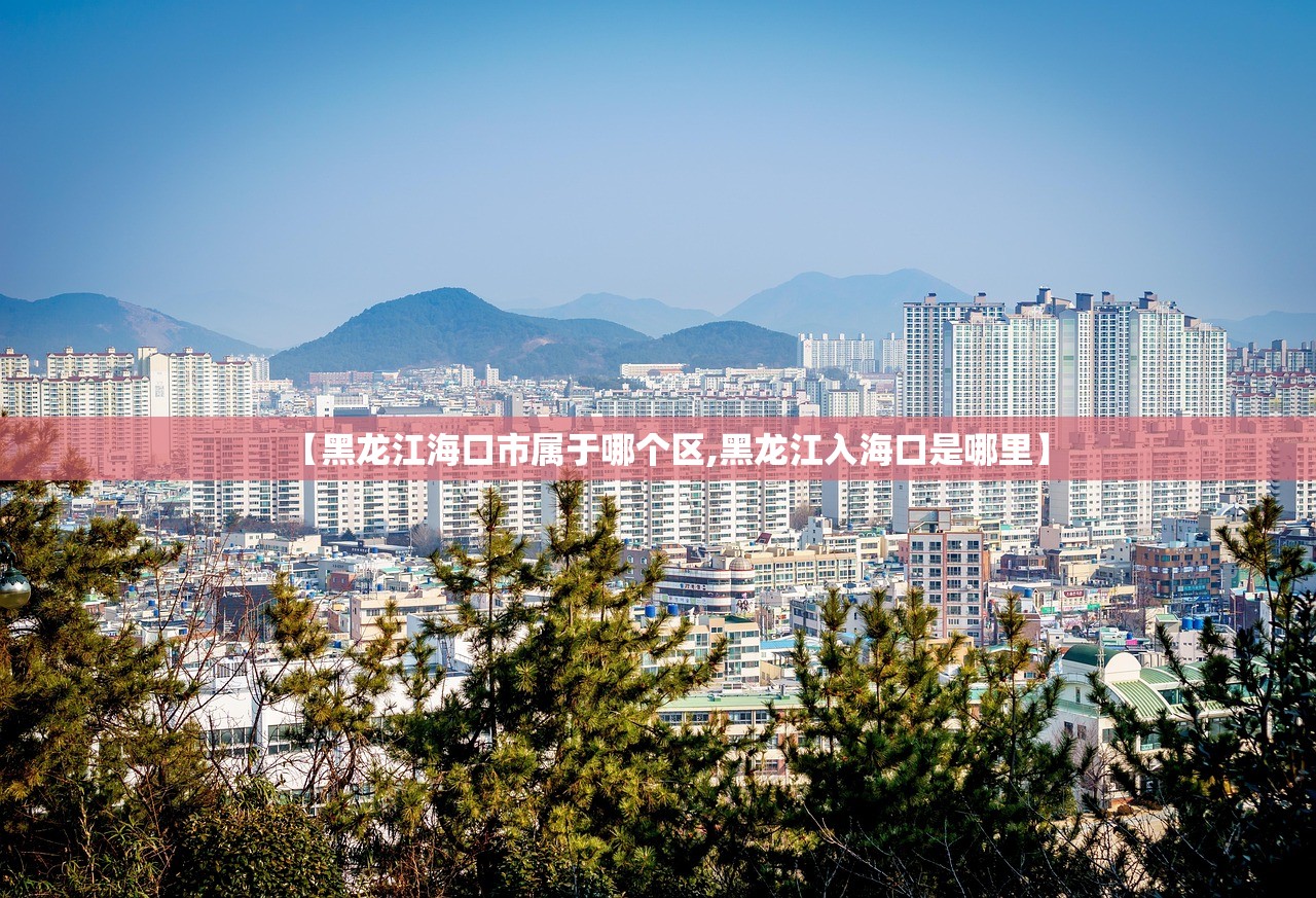 【黑龙江海口市属于哪个区,黑龙江入海口是哪里】