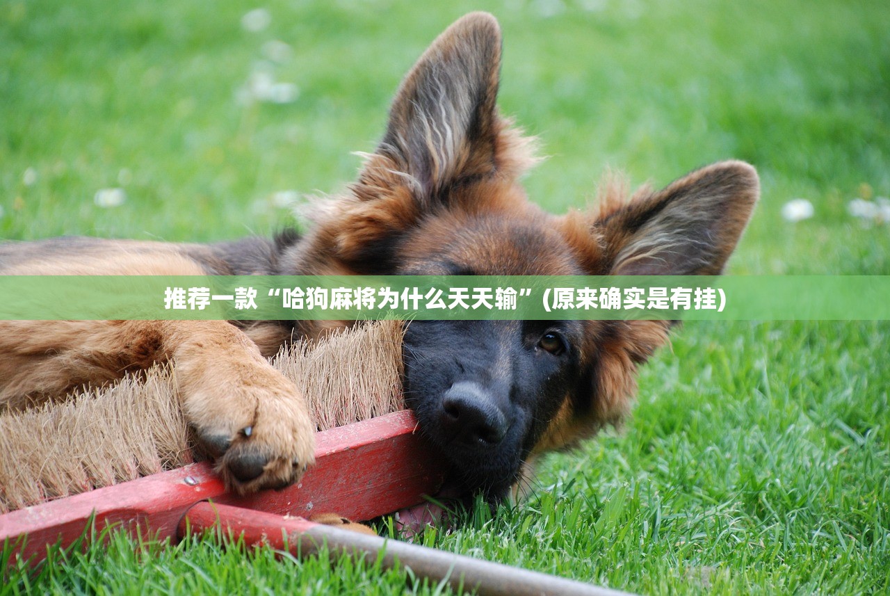 推荐一款“哈狗麻将为什么天天输”(原来确实是有挂)