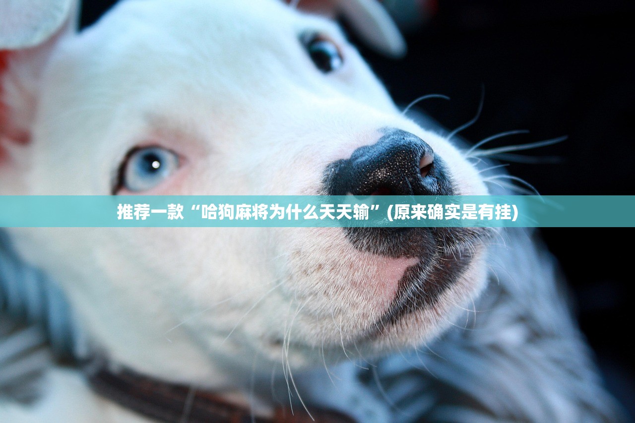 推荐一款“哈狗麻将为什么天天输”(原来确实是有挂)