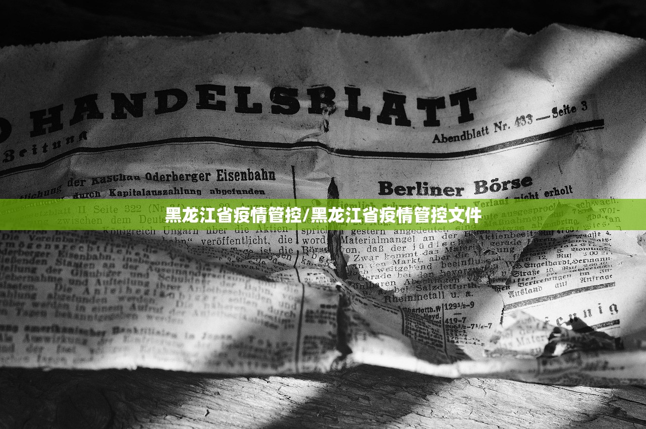 黑龙江省疫情管控/黑龙江省疫情管控文件 黑龙江省疫情管控/黑龙江省疫情管控文件