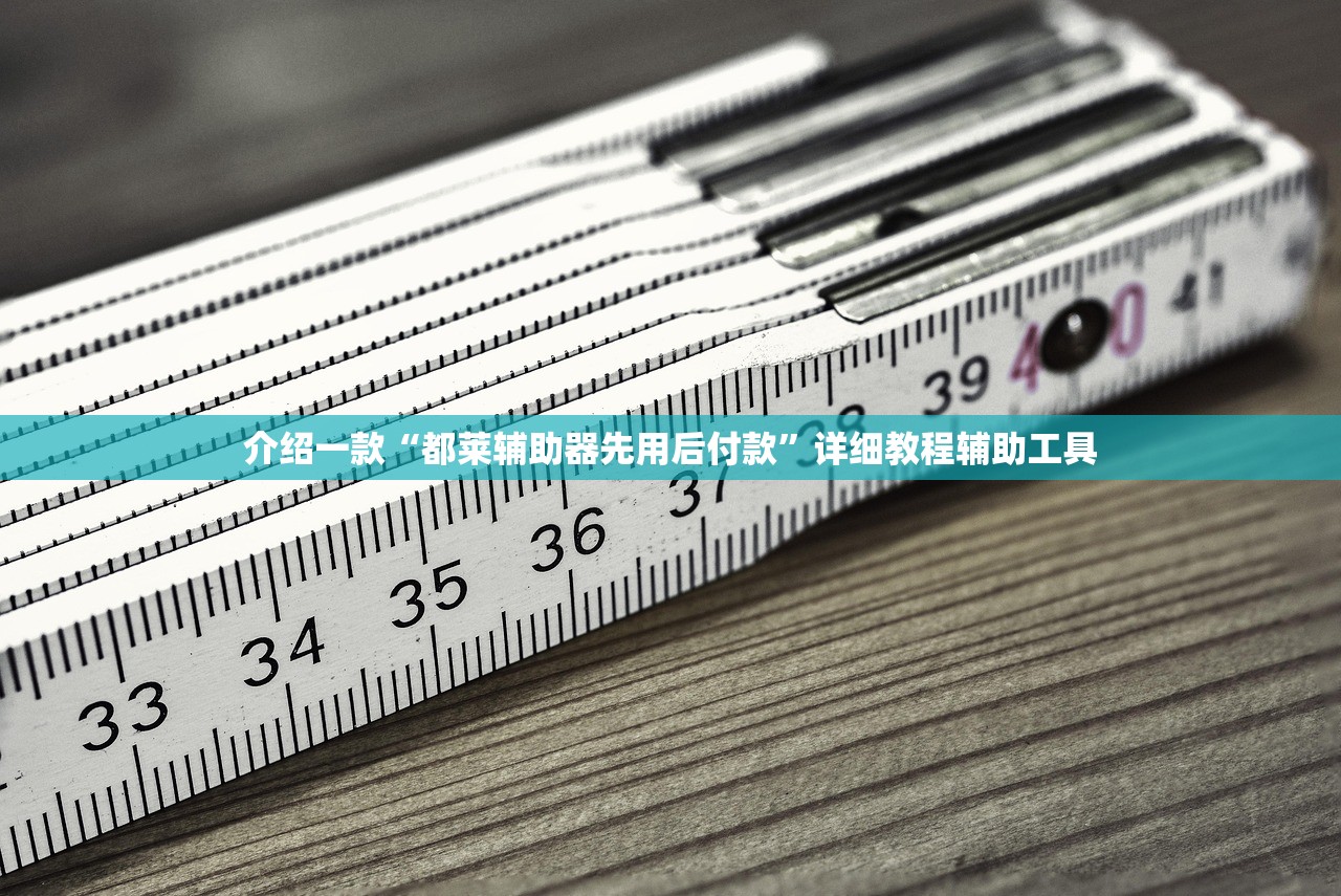 介绍一款“都莱辅助器先用后付款”详细教程辅助工具