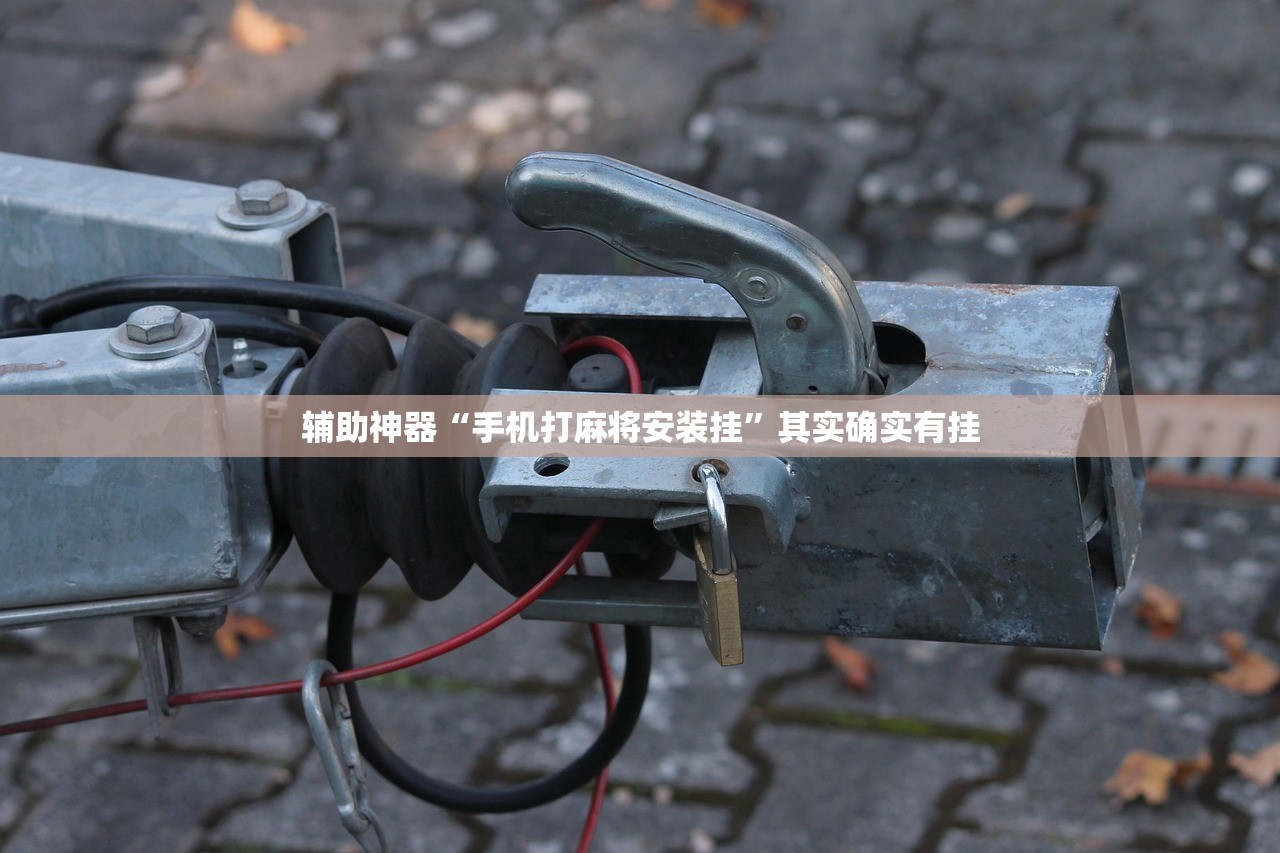 辅助神器“手机打麻将安装挂”其实确实有挂