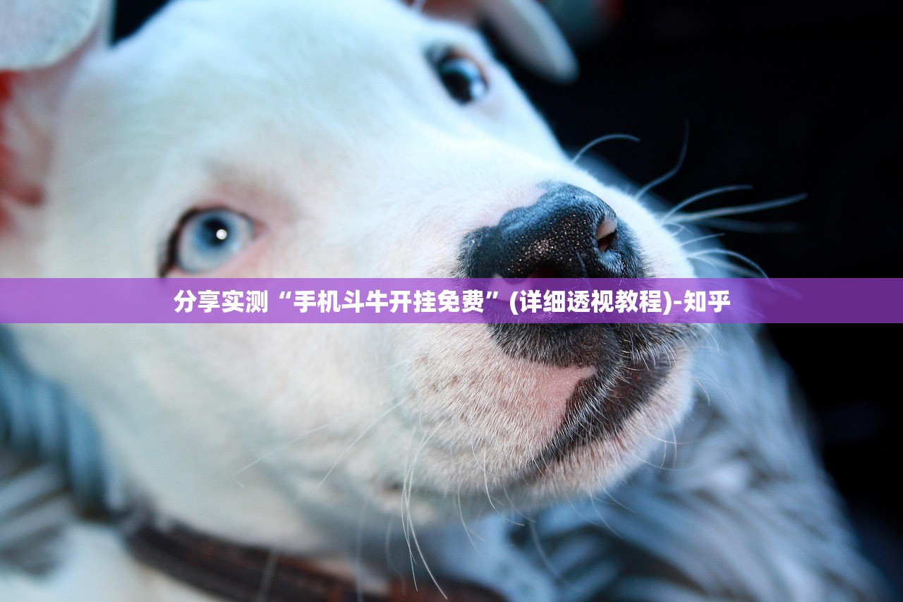 分享实测“手机斗牛开挂免费”(详细透视教程)-知乎