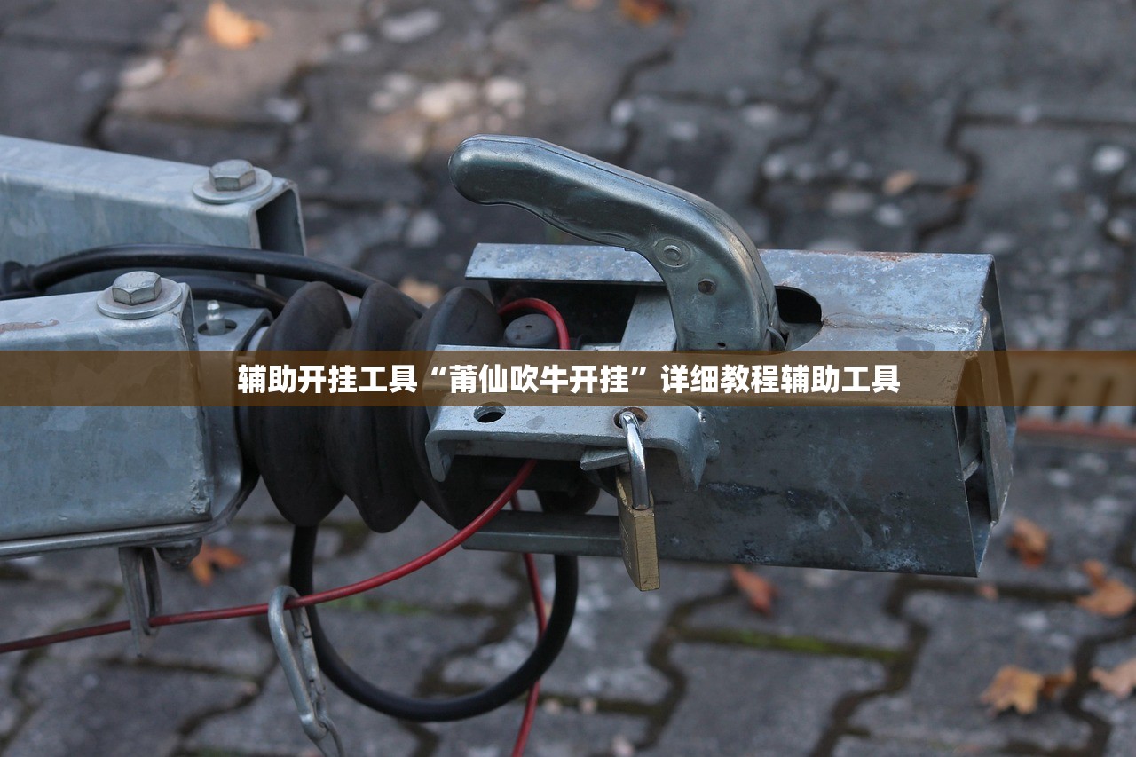 辅助开挂工具“莆仙吹牛开挂”详细教程辅助工具