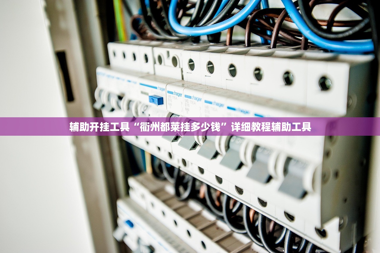 辅助开挂工具“衢州都莱挂多少钱”详细教程辅助工具