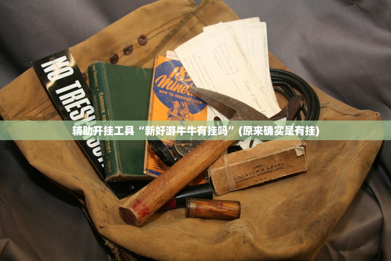 辅助开挂工具“新好游牛牛有挂吗”(原来确实是有挂)