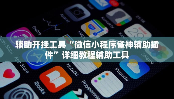 辅助开挂工具“微信小程序雀神辅助插件”详细教程辅助工具