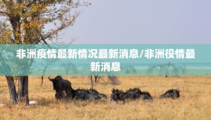 非洲疫情最新情况最新消息/非洲役情最新消息
