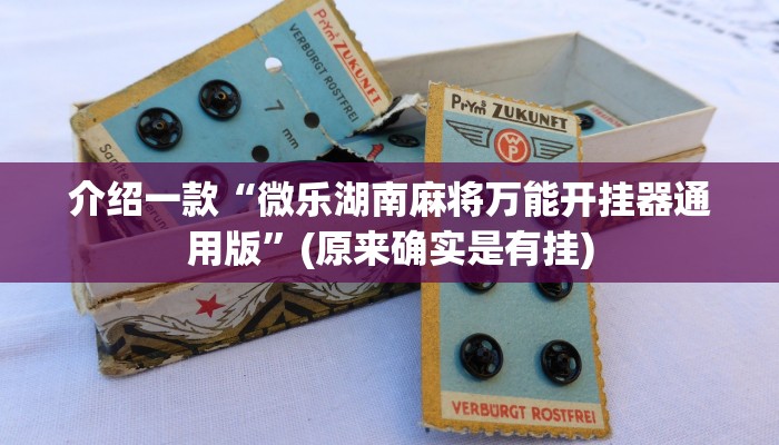 介绍一款“微乐湖南麻将万能开挂器通用版”(原来确实是有挂)