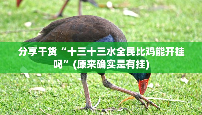 分享干货“十三十三水全民比鸡能开挂吗”(原来确实是有挂)