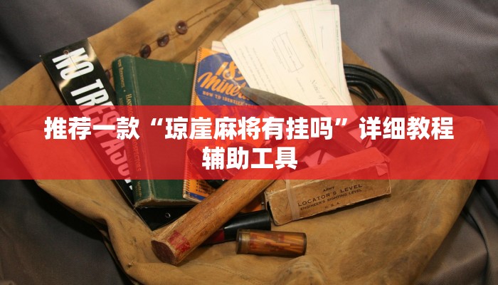 推荐一款“琼崖麻将有挂吗”详细教程辅助工具