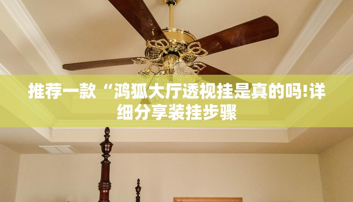 推荐一款“鸿狐大厅透视挂是真的吗!详细分享装挂步骤