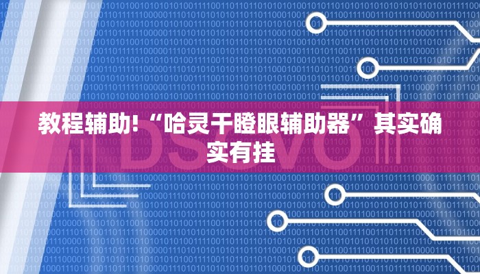 教程辅助!“哈灵干瞪眼辅助器”其实确实有挂