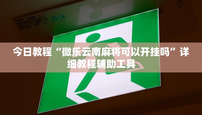 今日教程“微乐云南麻将可以开挂吗”详细教程辅助工具