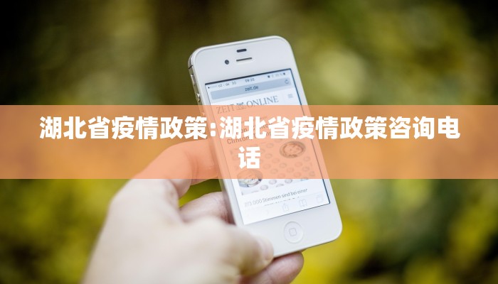 湖北省疫情政策:湖北省疫情政策咨询电话