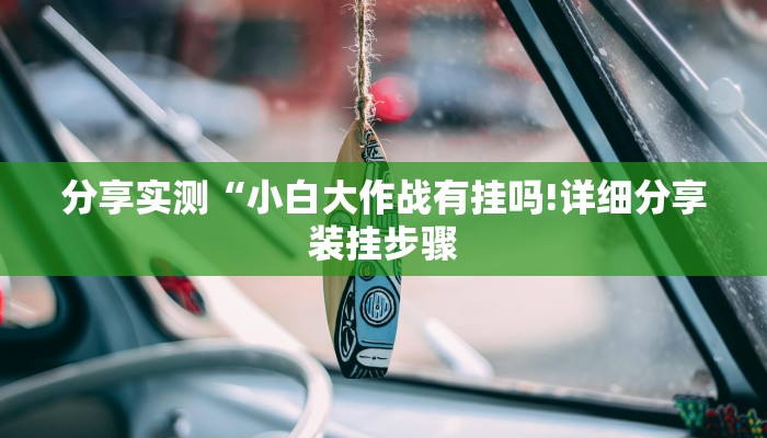 分享实测“小白大作战有挂吗!详细分享装挂步骤
