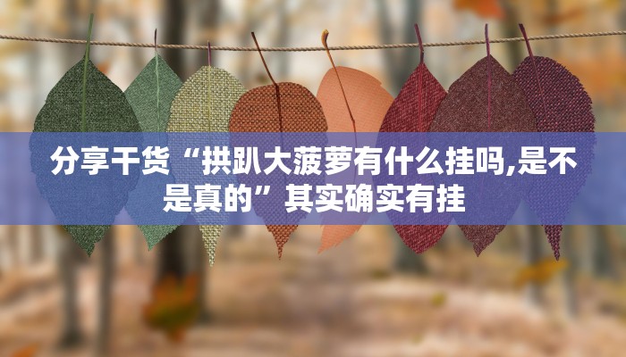 分享干货“拱趴大菠萝有什么挂吗,是不是真的”其实确实有挂