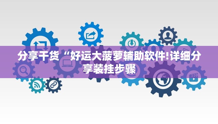 分享干货“好运大菠萝辅助软件!详细分享装挂步骤