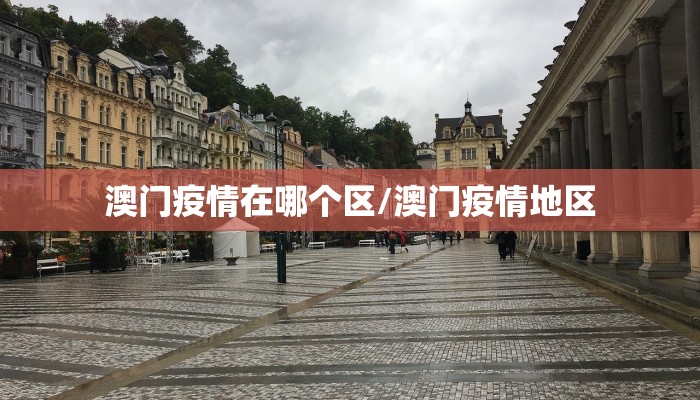 澳门疫情在哪个区/澳门疫情地区