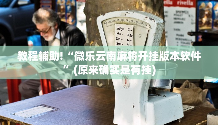 教程辅助!“微乐云南麻将开挂版本软件”(原来确实是有挂)