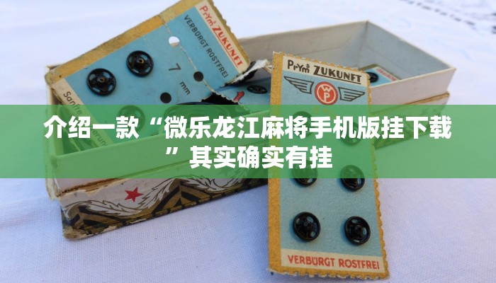 介绍一款“微乐龙江麻将手机版挂下载”其实确实有挂