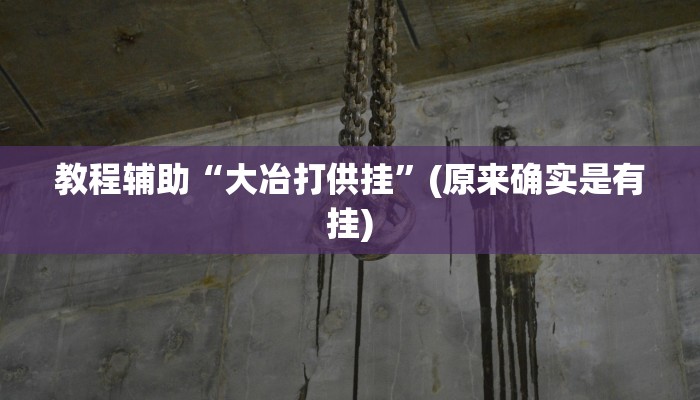 教程辅助“大冶打供挂”(原来确实是有挂)