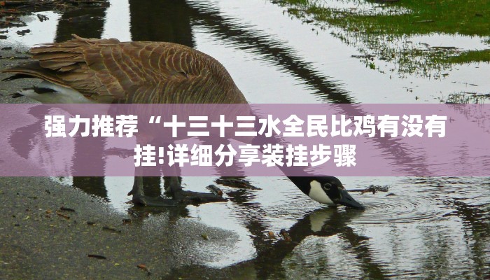 强力推荐“十三十三水全民比鸡有没有挂!详细分享装挂步骤