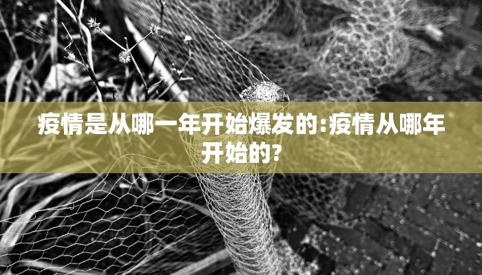 疫情是从哪一年开始爆发的:疫情从哪年开始的?
