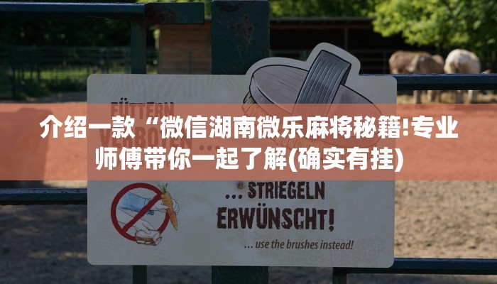 介绍一款“微信湖南微乐麻将秘籍!专业师傅带你一起了解(确实有挂)