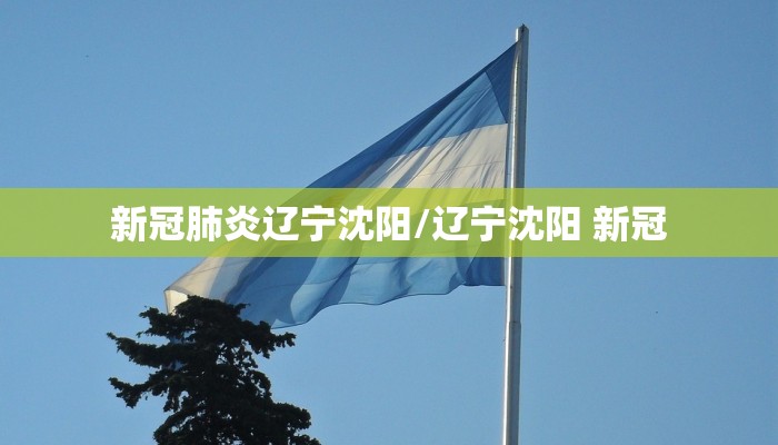 新冠肺炎辽宁沈阳/辽宁沈阳 新冠